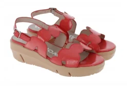 D-8232 Scalloped Sandal