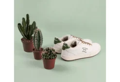 Evergreen Sustainable Trainer