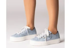 Palace Platform Trainer